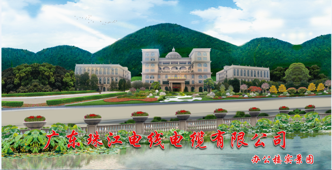 宝武钢铁集团领导专家莅临EVO视讯官网电缆参观交流