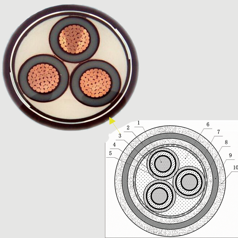 【EVO视讯官网电缆】一文带您了解一下中压电缆